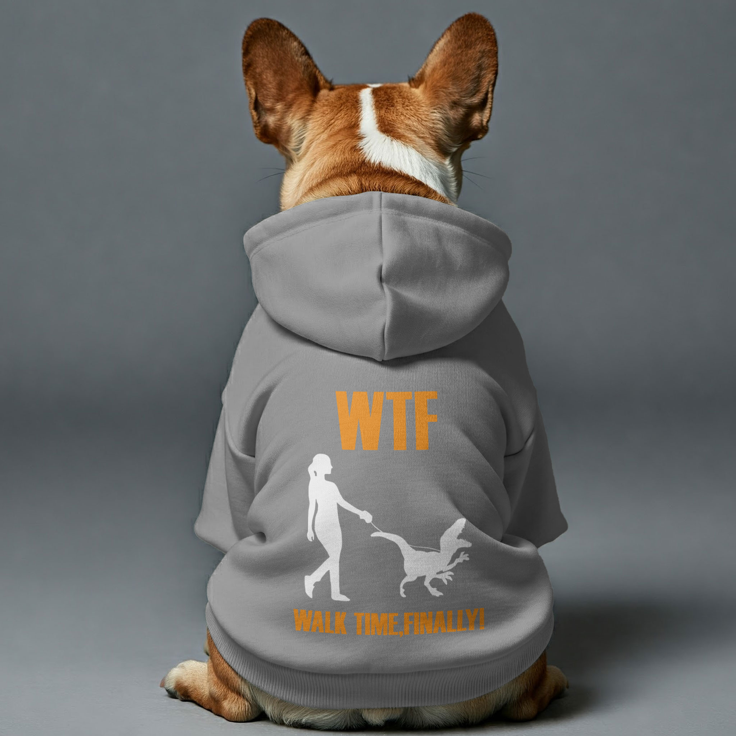 Avelena | Walk Time - Personalisierte Französische Bulldoggen Hoodies Mit Lustigen Zitaten – Stilvoll, Gemütlich Und Premium 100% Baumwolle