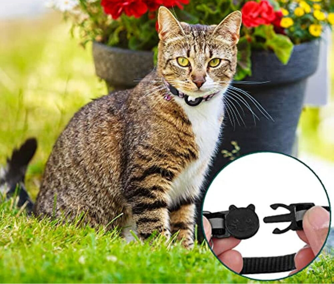 Avelena | Katzen GPS Tracker Halsband | Schnellverschluss, reflektierendes Design & strapazierfähig für Outdoor-Sicherheitsabenteuer