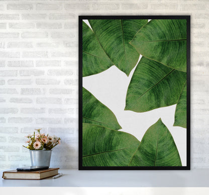 Avelena | Banana Leaf II Print von Orara Studio, gerahmter botanischer und Naturkunstdruck