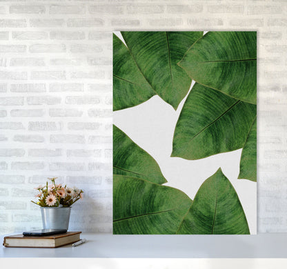 Avelena | Banana Leaf II Print von Orara Studio, gerahmter botanischer und Naturkunstdruck