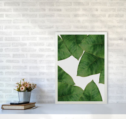 Avelena | Banana Leaf II Print von Orara Studio, gerahmter botanischer und Naturkunstdruck