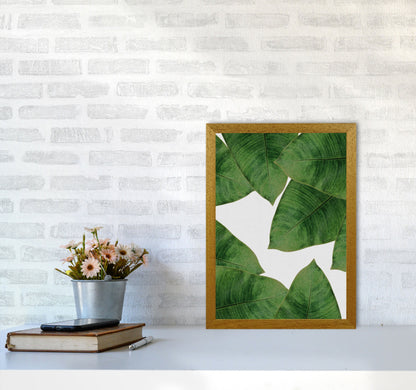 Avelena | Banana Leaf II Print von Orara Studio, gerahmter botanischer und Naturkunstdruck