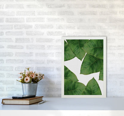 Avelena | Banana Leaf II Print von Orara Studio, gerahmter botanischer und Naturkunstdruck