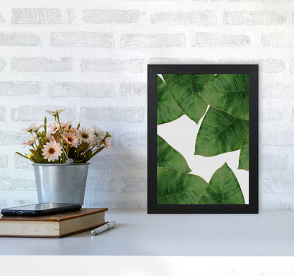 Avelena | Banana Leaf II Print von Orara Studio, gerahmter botanischer und Naturkunstdruck