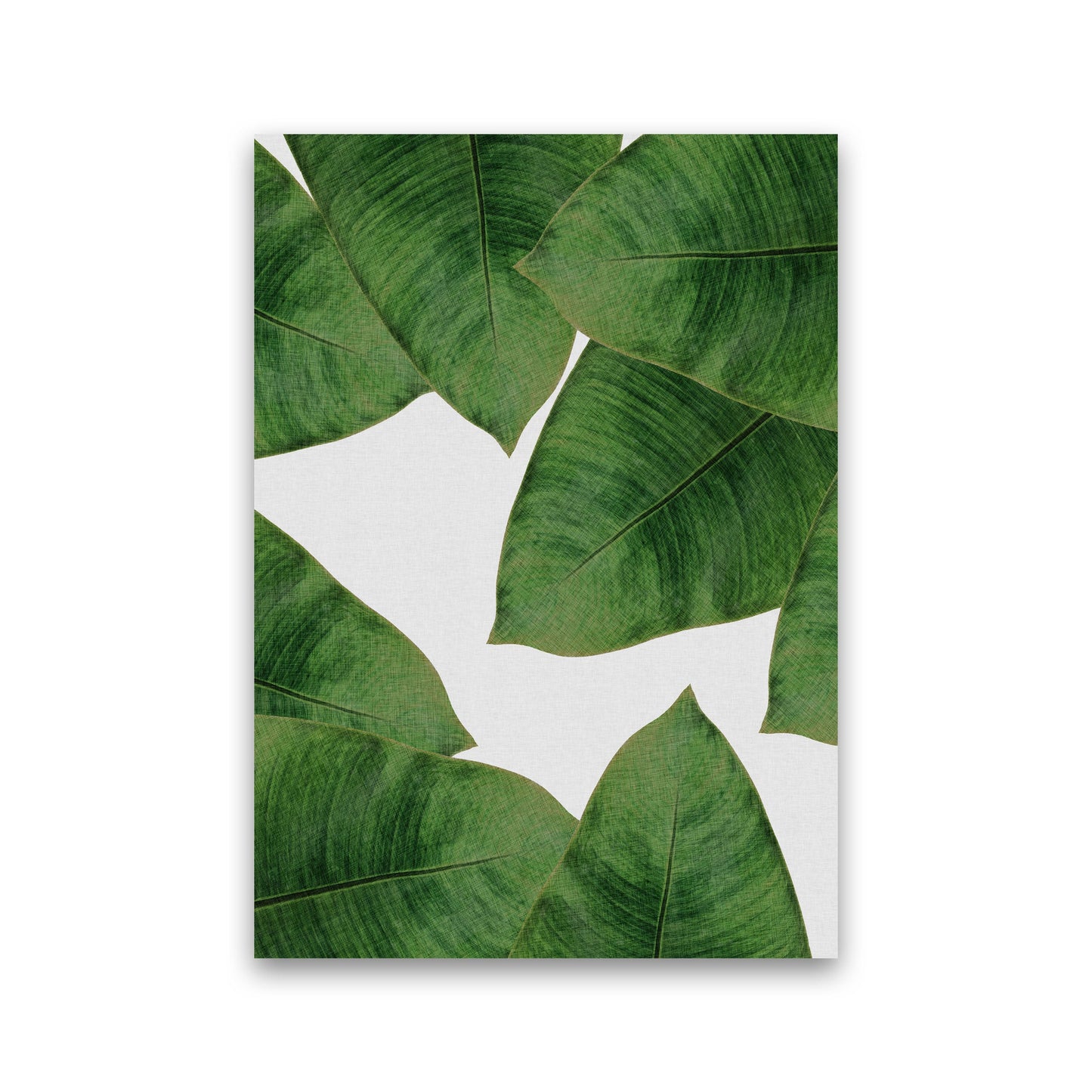 Avelena | Banana Leaf II Print von Orara Studio, gerahmter botanischer und Naturkunstdruck