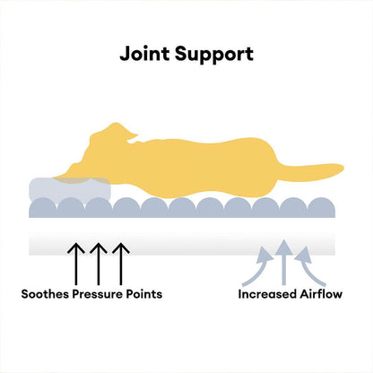 Avelena | DreamPaw Orthopädisches Hundebett – Robuster Schlafplatz mit Nackenstütze und abnehmbarem Bezug