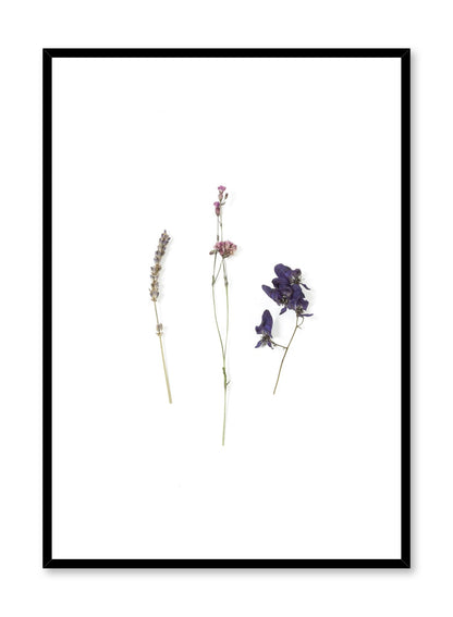 Avelena | Mauve Getrocknete Blumen, Plakat