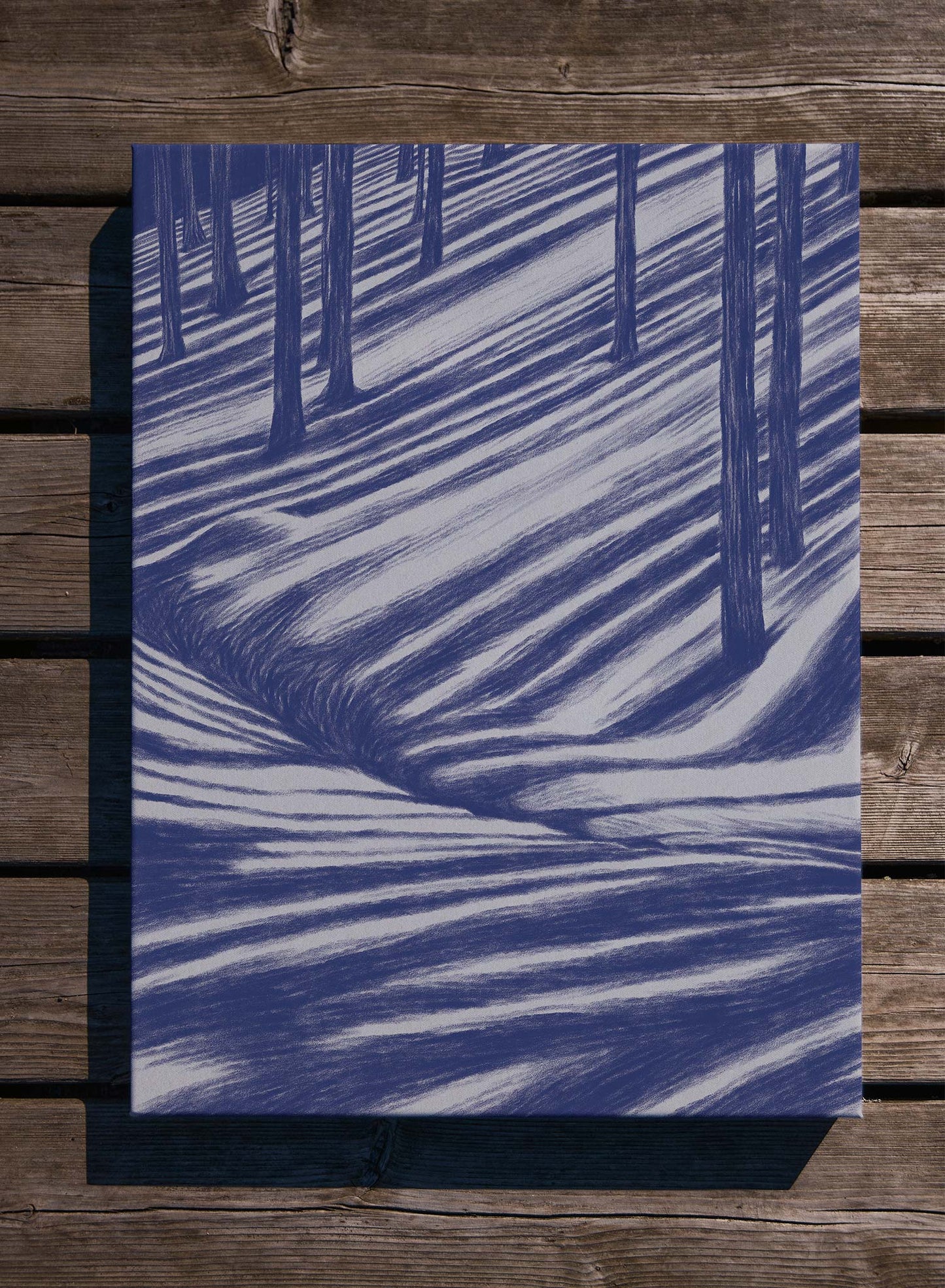 Avelena | Moonbeam Hike, Plakat