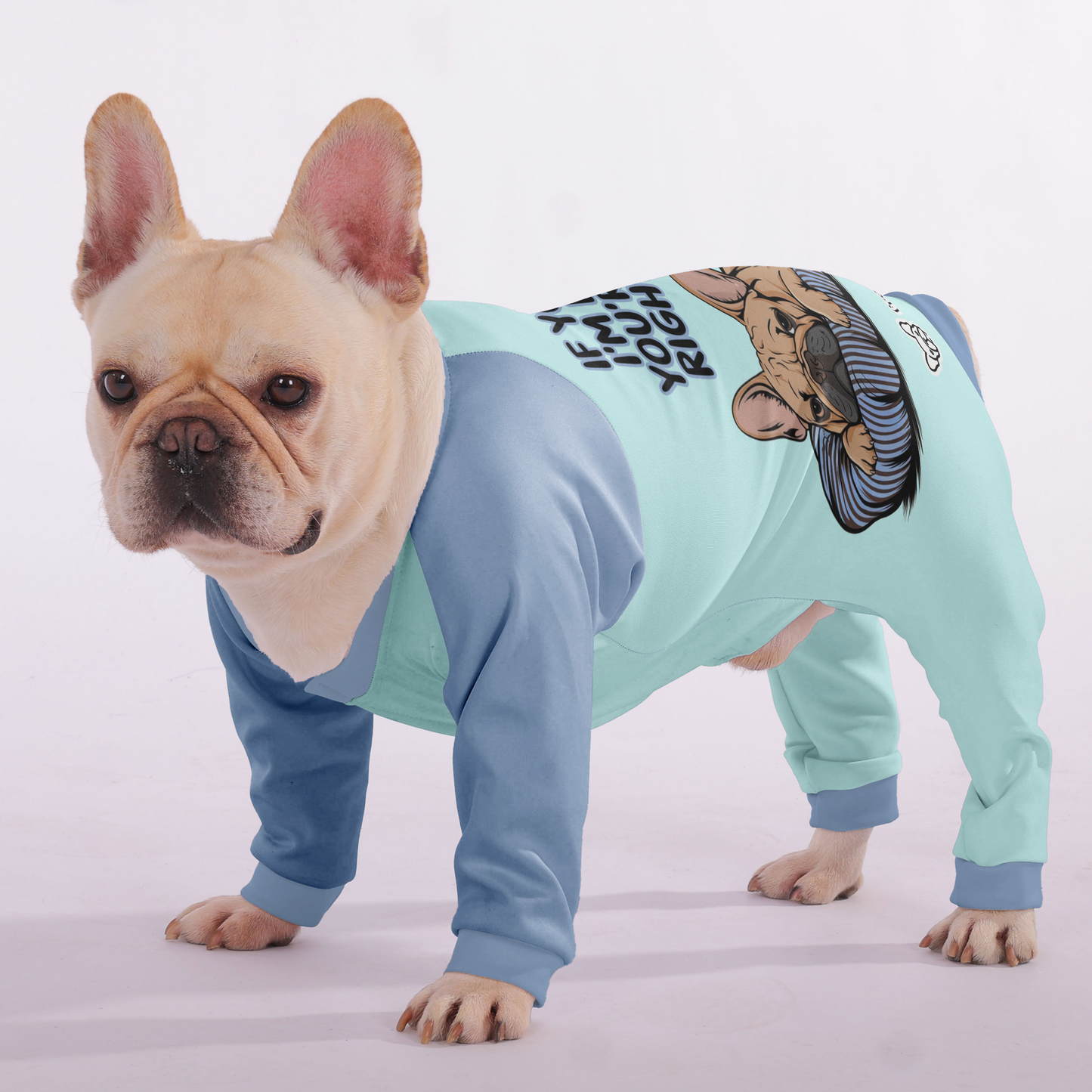 Avelena | Wenn Sie Denken, Ich Schlafe, Liegen Sie Wahrscheinlich Richtig. - Frenchie-Pyjama – Ultra-Weich, Gemütlich Und Adorably Stilvoll