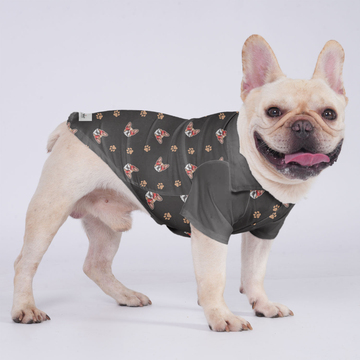 Avelena | Ocean Hawaiian-Shirt Für Französische Bulldoggen