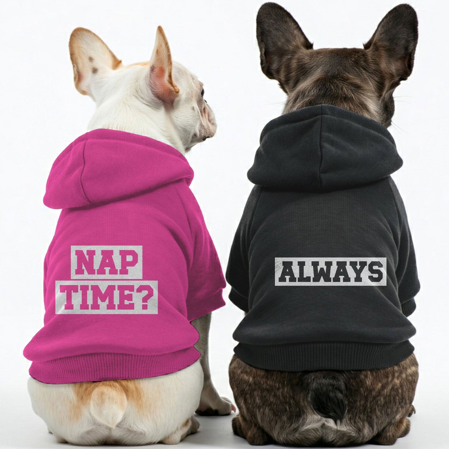 Avelena | Nap Time ? Und Immer - Passende Französische Bulldogge Hoodies – Stilvoll, Gemütlich & Personalisierbar!