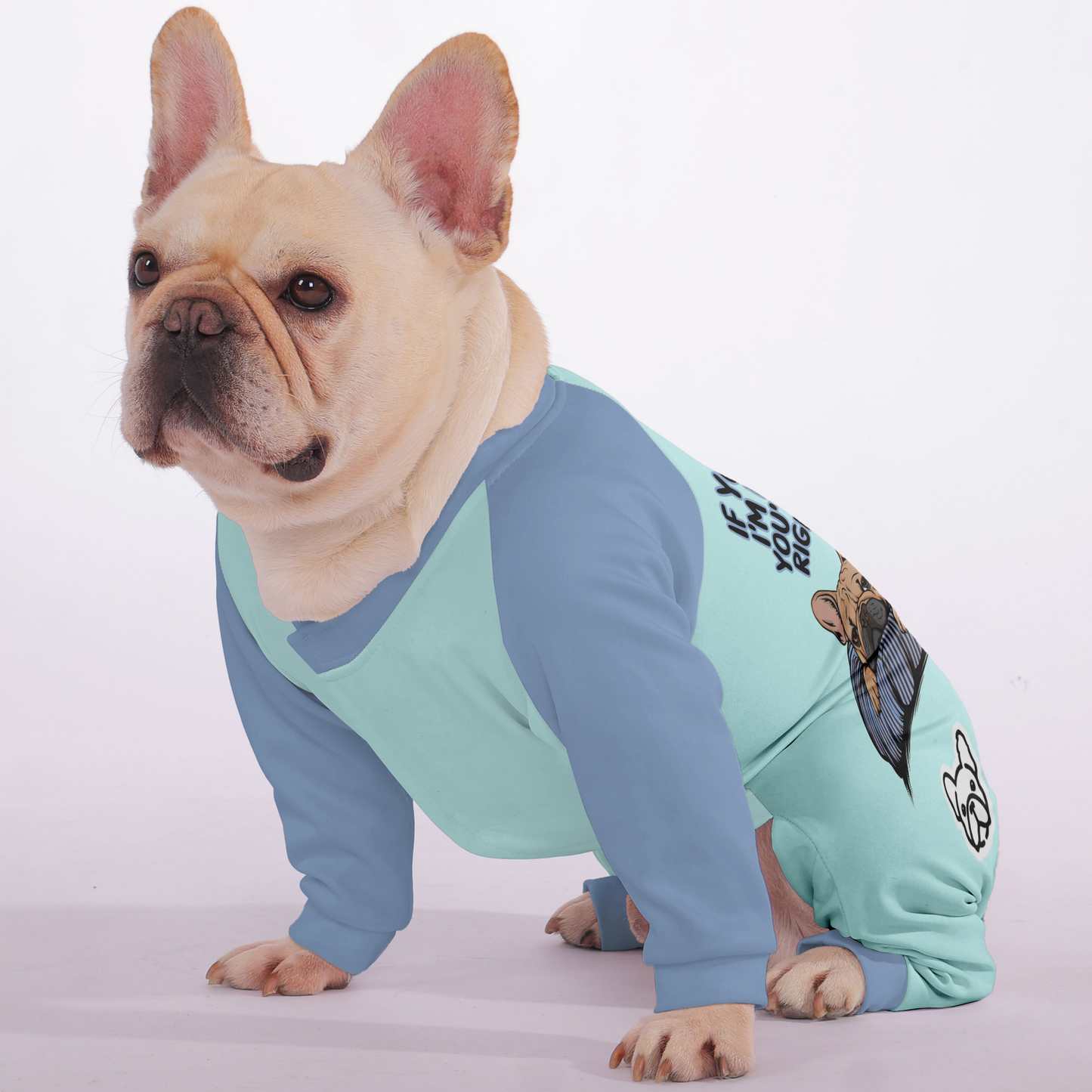 Avelena | Wenn Sie Denken, Ich Schlafe, Liegen Sie Wahrscheinlich Richtig. - Frenchie-Pyjama – Ultra-Weich, Gemütlich Und Adorably Stilvoll
