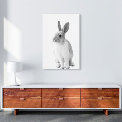 Avelena | Schwarz-Weiß Hase Moderne Druck Tierkunst Druck