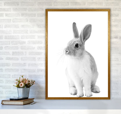 Avelena | Schwarz-Weiß Hase Moderne Druck Tierkunst Druck
