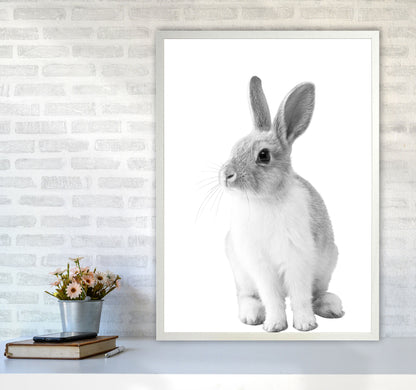 Avelena | Schwarz-Weiß Hase Moderne Druck Tierkunst Druck