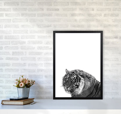Avelena | Schwarz und Weiß Tiger Moderne Druck Tier Kunstdruck