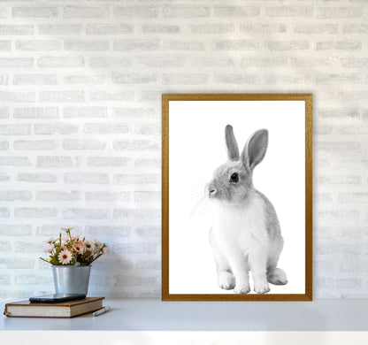Avelena | Schwarz-Weiß Hase Moderne Druck Tierkunst Druck