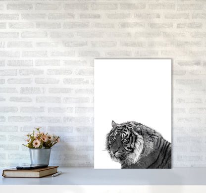 Avelena | Schwarz und Weiß Tiger Moderne Druck Tier Kunstdruck