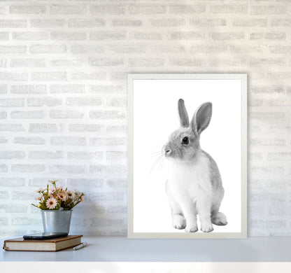 Avelena | Schwarz-Weiß Hase Moderne Druck Tierkunst Druck