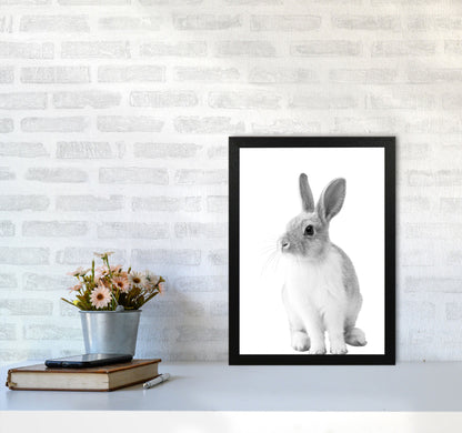 Avelena | Schwarz-Weiß Hase Moderne Druck Tierkunst Druck