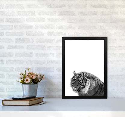 Avelena | Schwarz und Weiß Tiger Moderne Druck Tier Kunstdruck