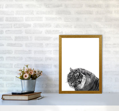 Avelena | Schwarz und Weiß Tiger Moderne Druck Tier Kunstdruck