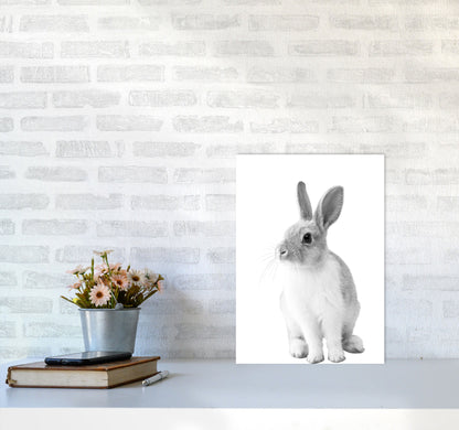 Avelena | Schwarz-Weiß Hase Moderne Druck Tierkunst Druck