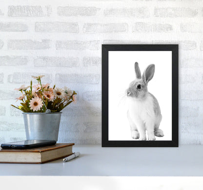 Avelena | Schwarz-Weiß Hase Moderne Druck Tierkunst Druck
