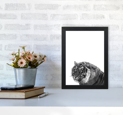 Avelena | Schwarz und Weiß Tiger Moderne Druck Tier Kunstdruck