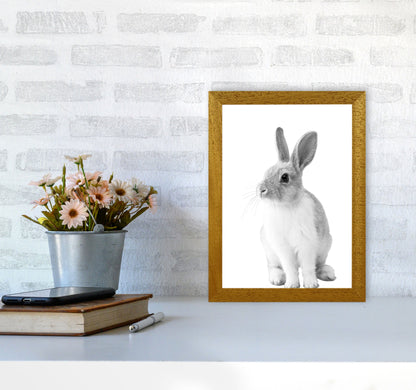 Avelena | Schwarz-Weiß Hase Moderne Druck Tierkunst Druck