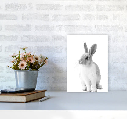 Avelena | Schwarz-Weiß Hase Moderne Druck Tierkunst Druck