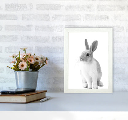 Avelena | Schwarz-Weiß Hase Moderne Druck Tierkunst Druck
