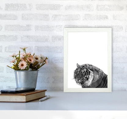 Avelena | Schwarz und Weiß Tiger Moderne Druck Tier Kunstdruck