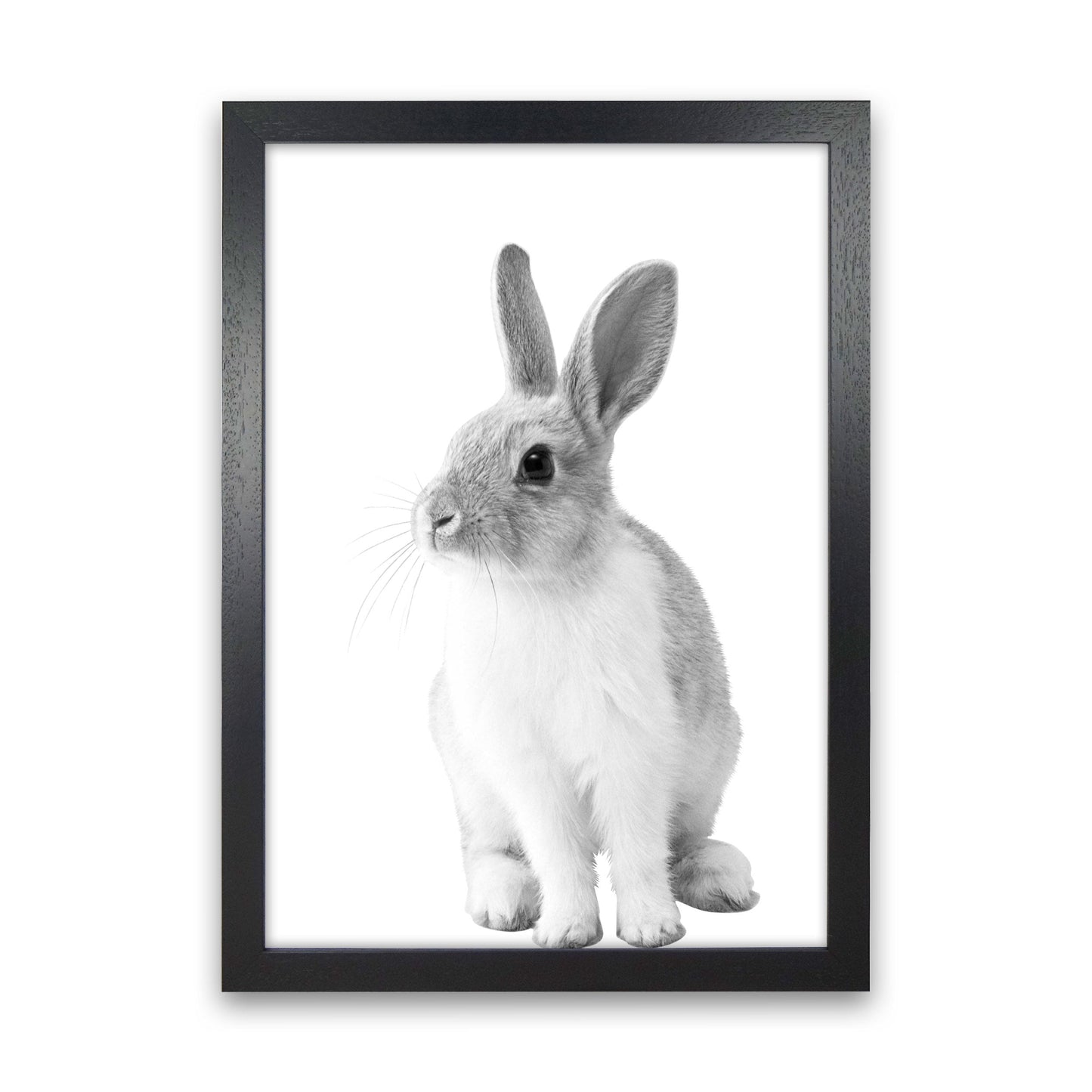 Avelena | Schwarz-Weiß Hase Moderne Druck Tierkunst Druck