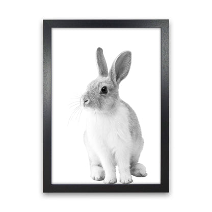 Avelena | Schwarz-Weiß Hase Moderne Druck Tierkunst Druck