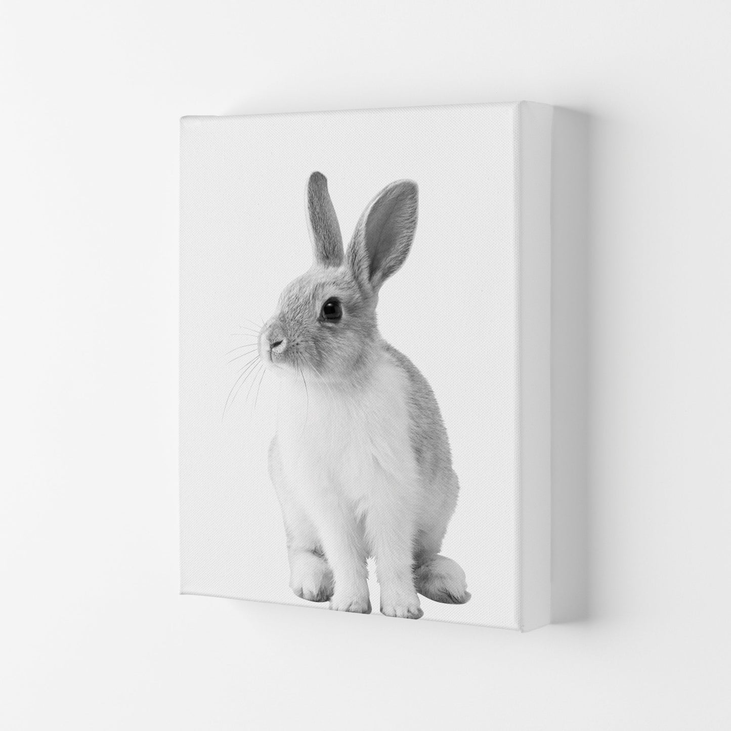 Avelena | Schwarz-Weiß Hase Moderne Druck Tierkunst Druck