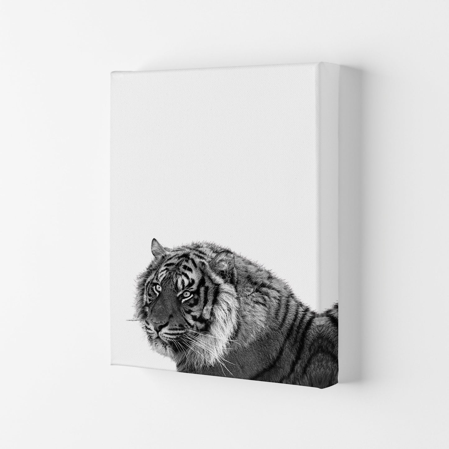 Avelena | Schwarz und Weiß Tiger Moderne Druck Tier Kunstdruck