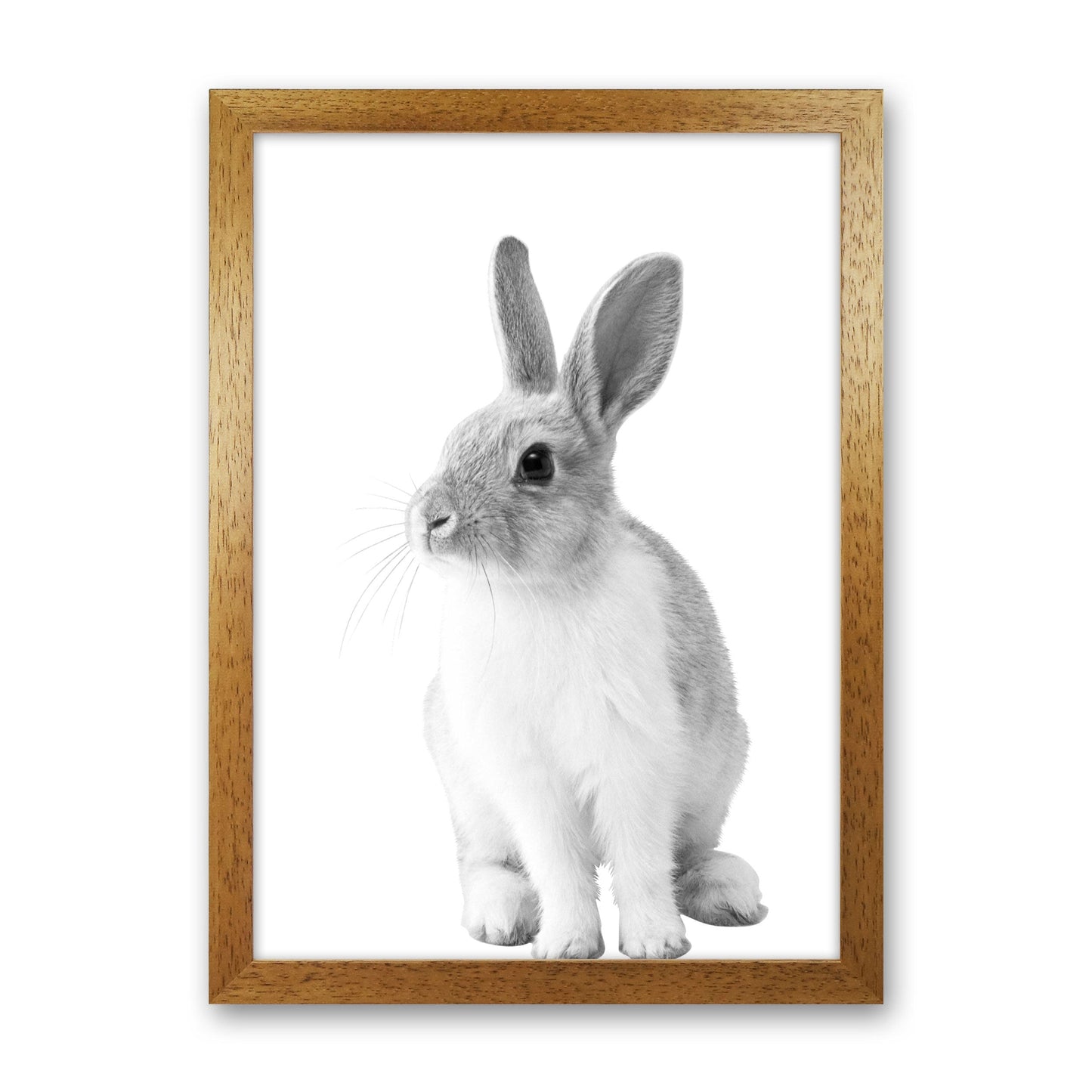 Avelena | Schwarz-Weiß Hase Moderne Druck Tierkunst Druck