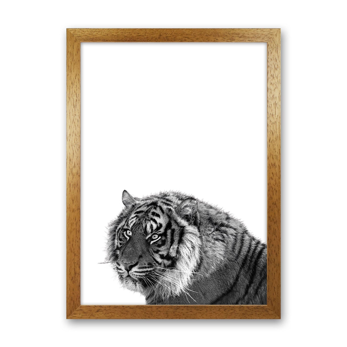 Avelena | Schwarz und Weiß Tiger Moderne Druck Tier Kunstdruck