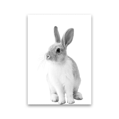 Avelena | Schwarz-Weiß Hase Moderne Druck Tierkunst Druck