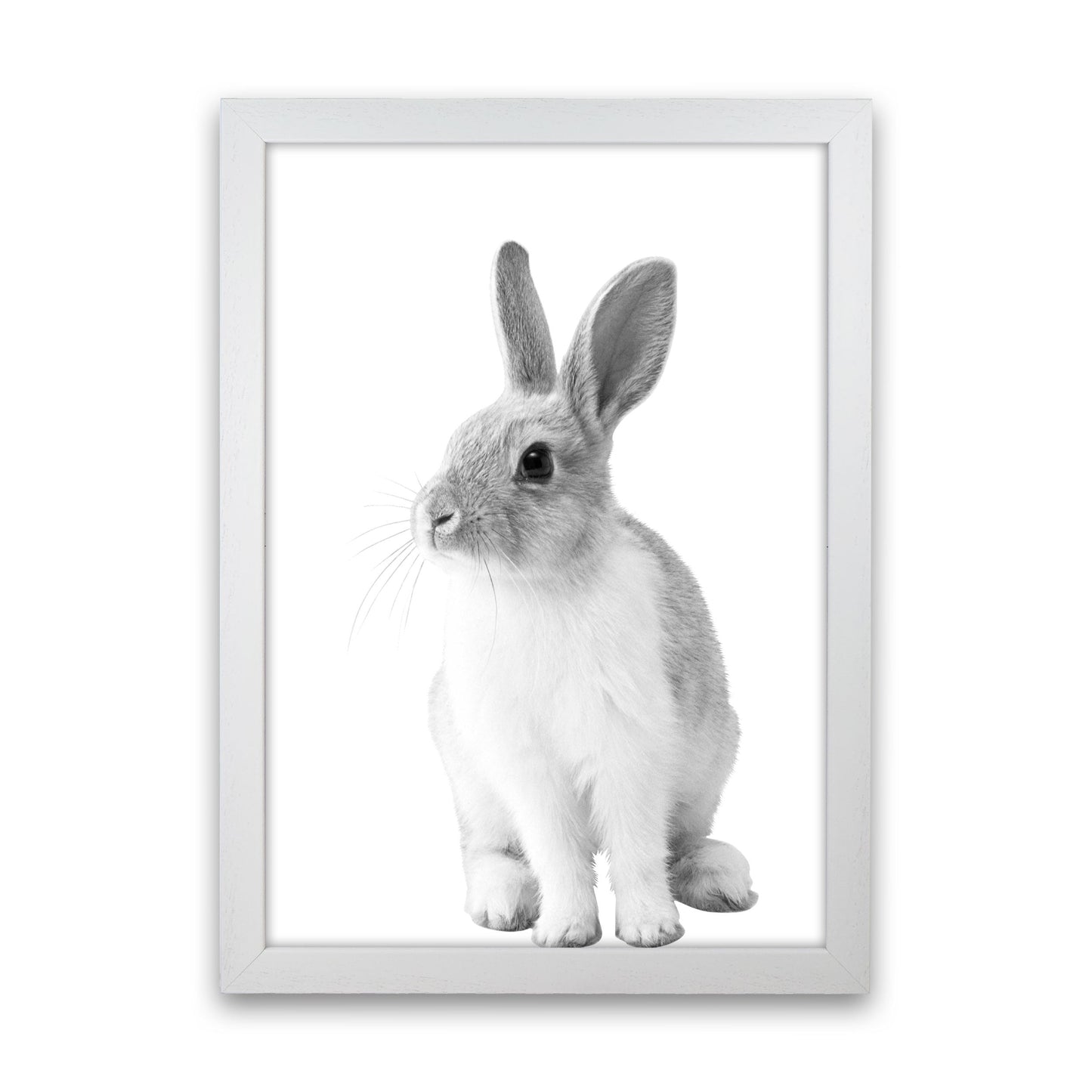 Avelena | Schwarz-Weiß Hase Moderne Druck Tierkunst Druck