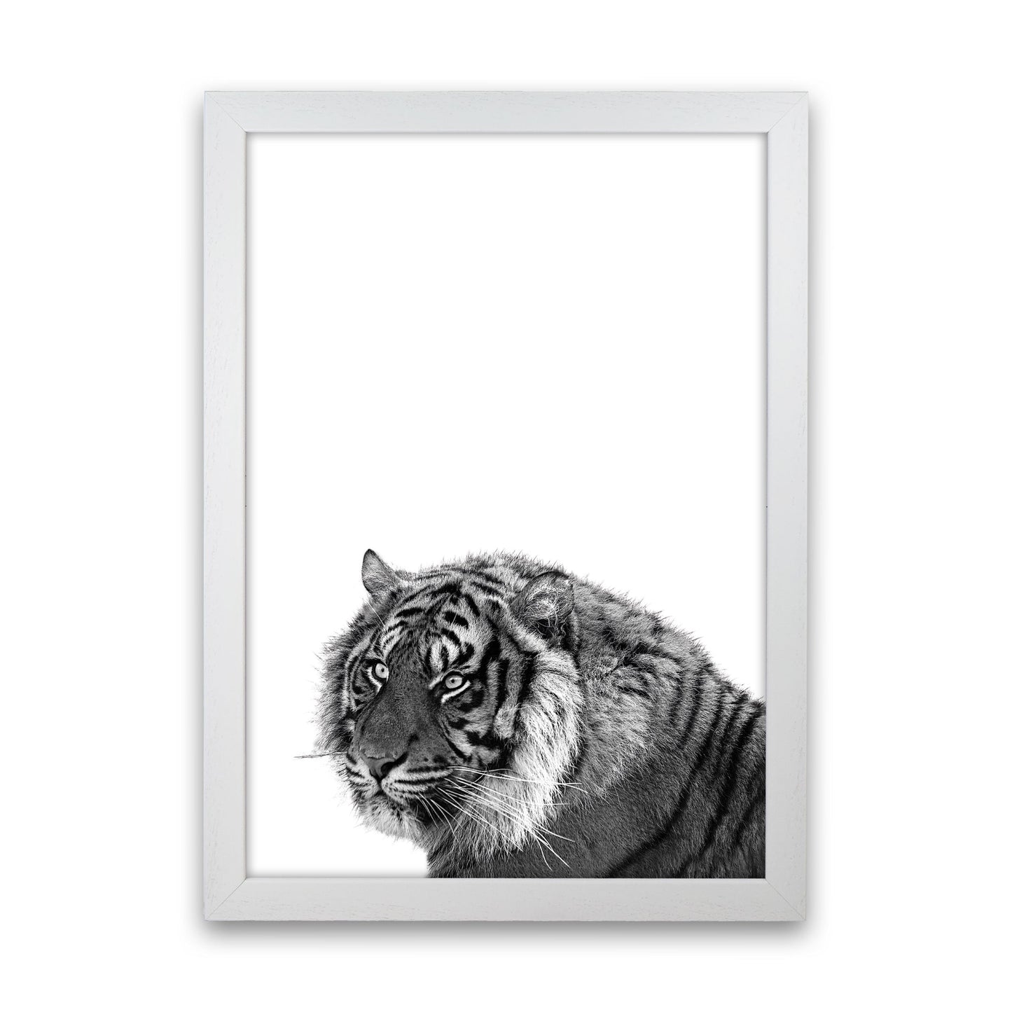 Avelena | Schwarz und Weiß Tiger Moderne Druck Tier Kunstdruck