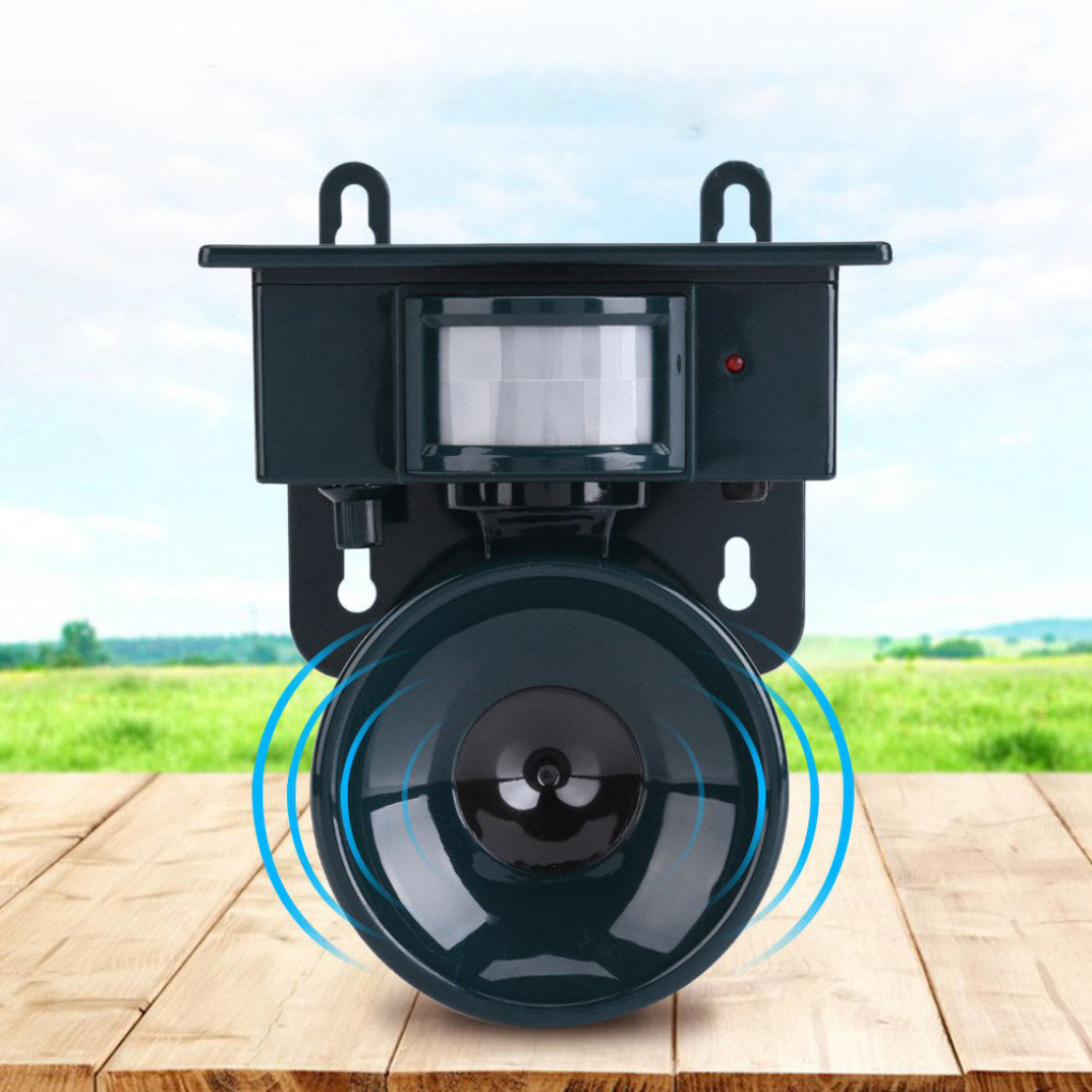 Avelena | Bewegungsmelder-Vogelabwehr für Krähen: Idealer Taubenvergrämer mit Geräuschschrecker