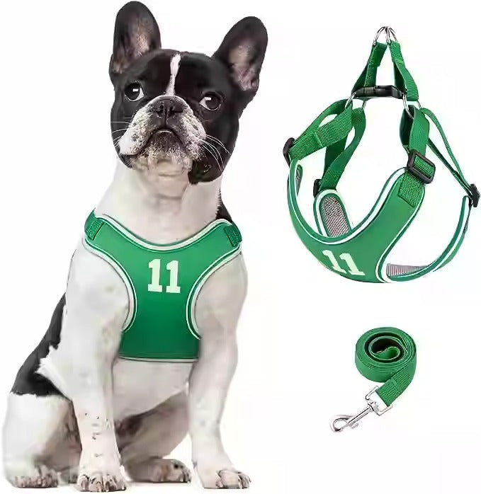 Avelena | Pupmode Verstellbares Frenchie Geschirr Set – Weich, Sicher Und Einfach Zu Benutzen