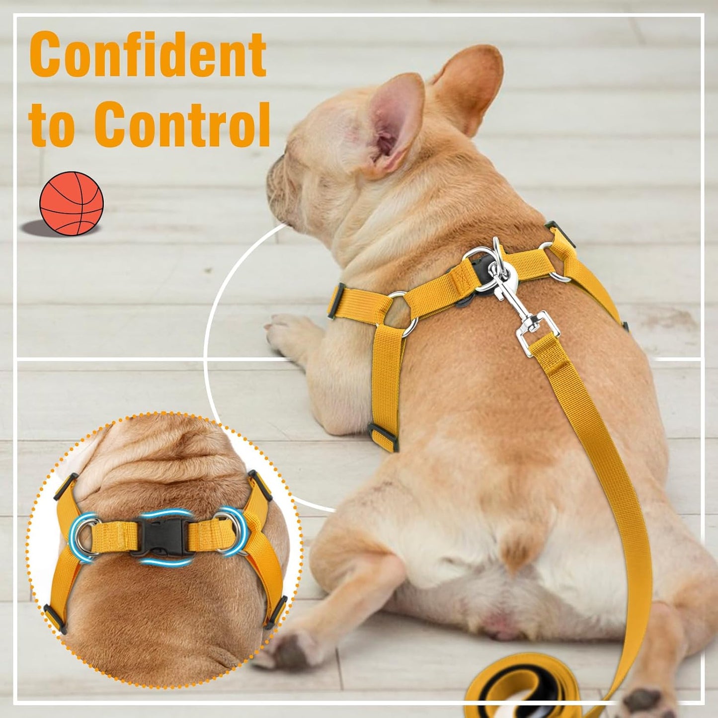 Avelena | Pupmode Verstellbares Frenchie Geschirr Set – Weich, Sicher Und Einfach Zu Benutzen