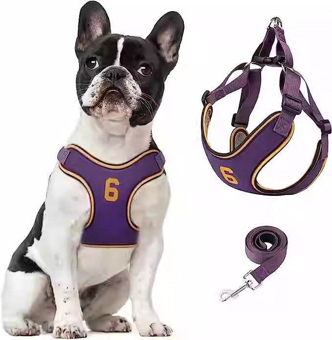 Avelena | Pupmode Verstellbares Frenchie Geschirr Set – Weich, Sicher Und Einfach Zu Benutzen