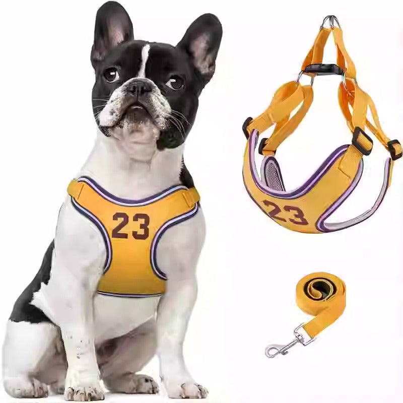 Avelena | Pupmode Verstellbares Frenchie Geschirr Set – Weich, Sicher Und Einfach Zu Benutzen