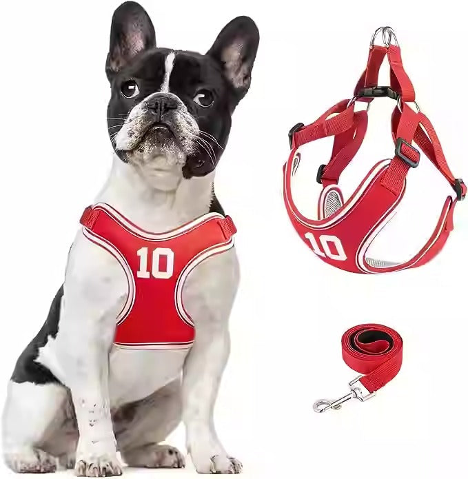 Avelena | Pupmode Verstellbares Frenchie Geschirr Set – Weich, Sicher Und Einfach Zu Benutzen