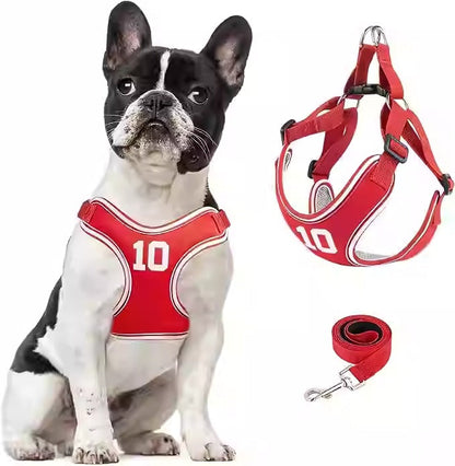 Avelena | Pupmode Verstellbares Frenchie Geschirr Set – Weich, Sicher Und Einfach Zu Benutzen
