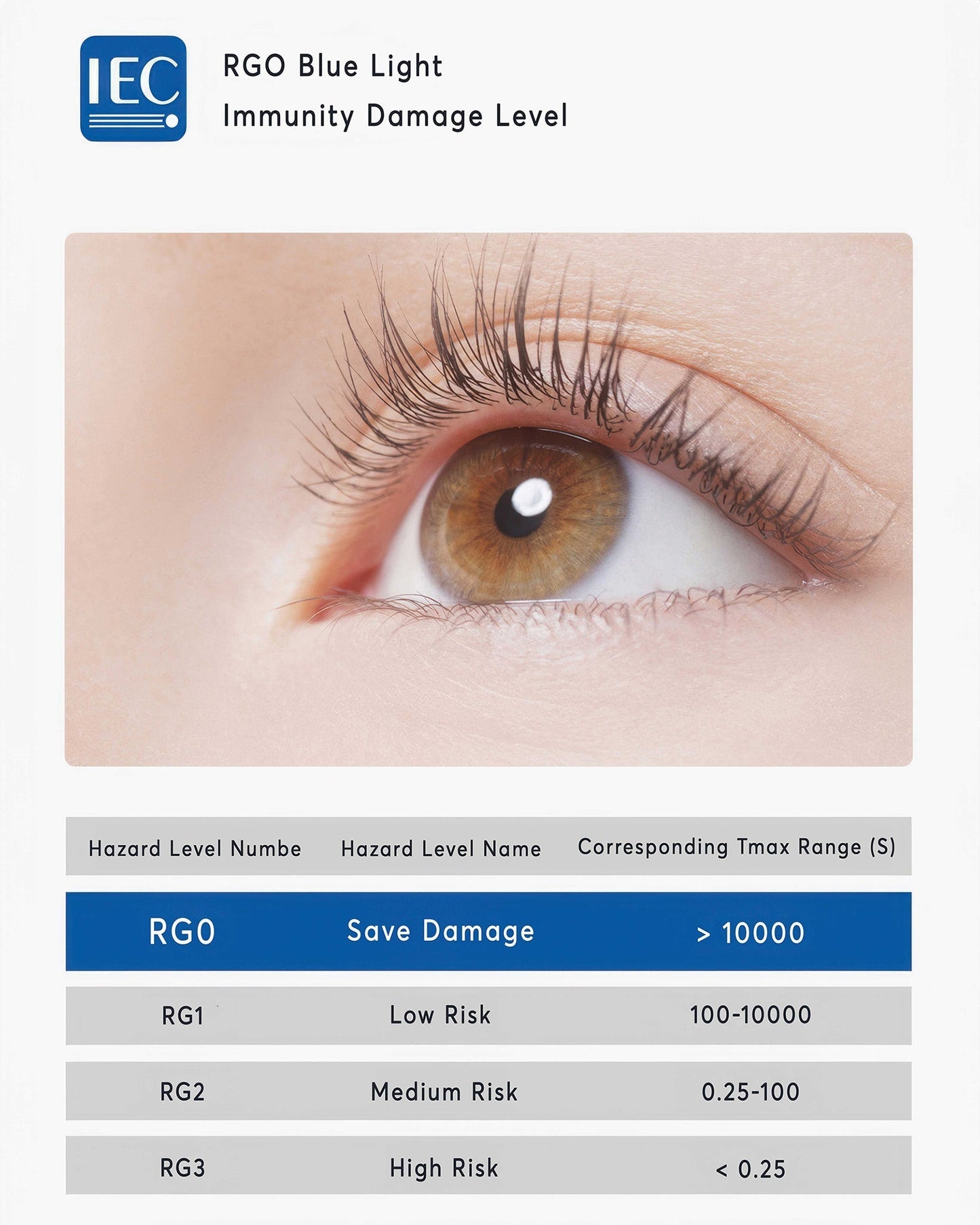 Avelena | Moderne Wandlampe aus Holzbogen